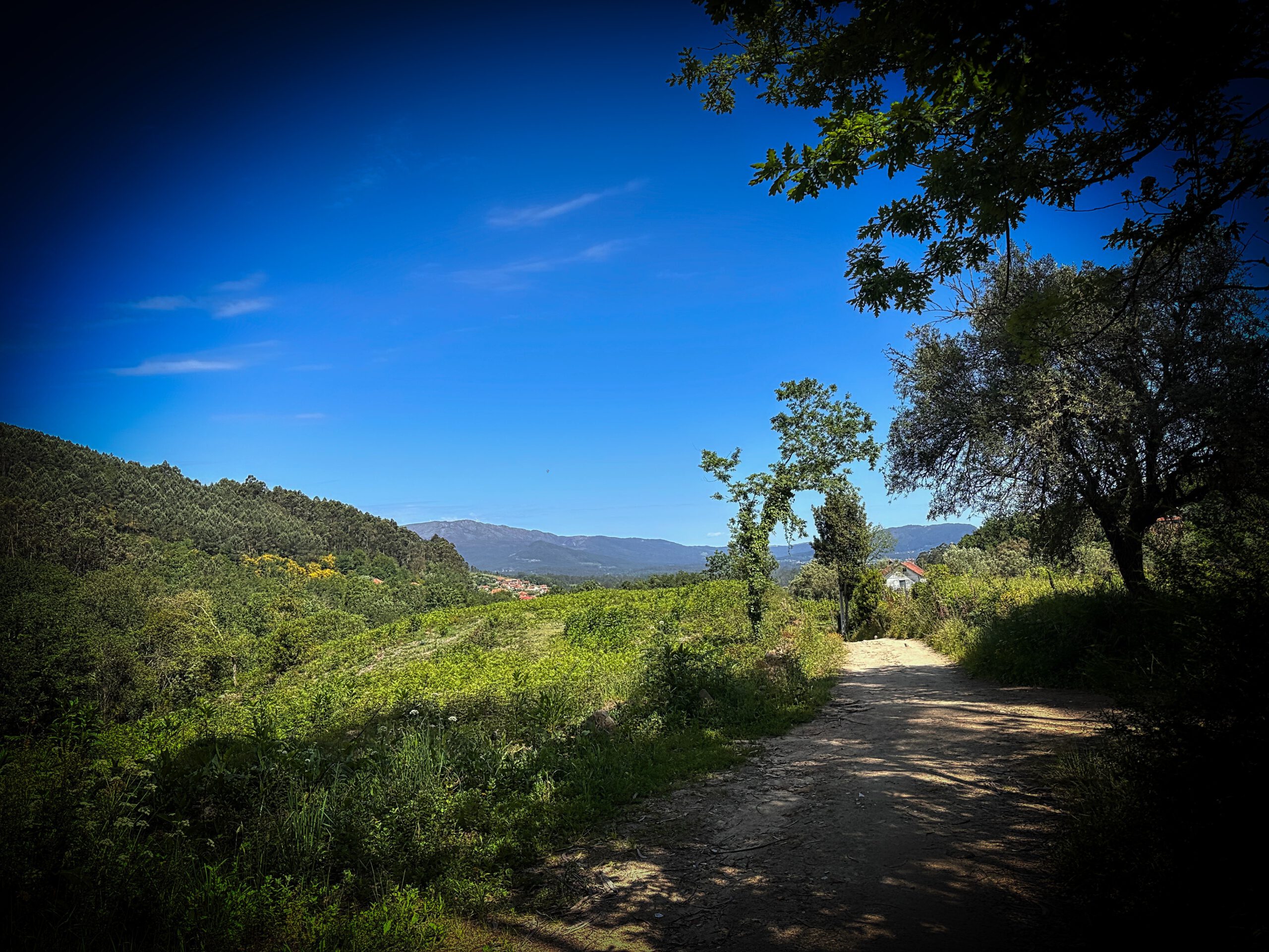 07.05.2025 Portela de Tamel – Ponte de Lima