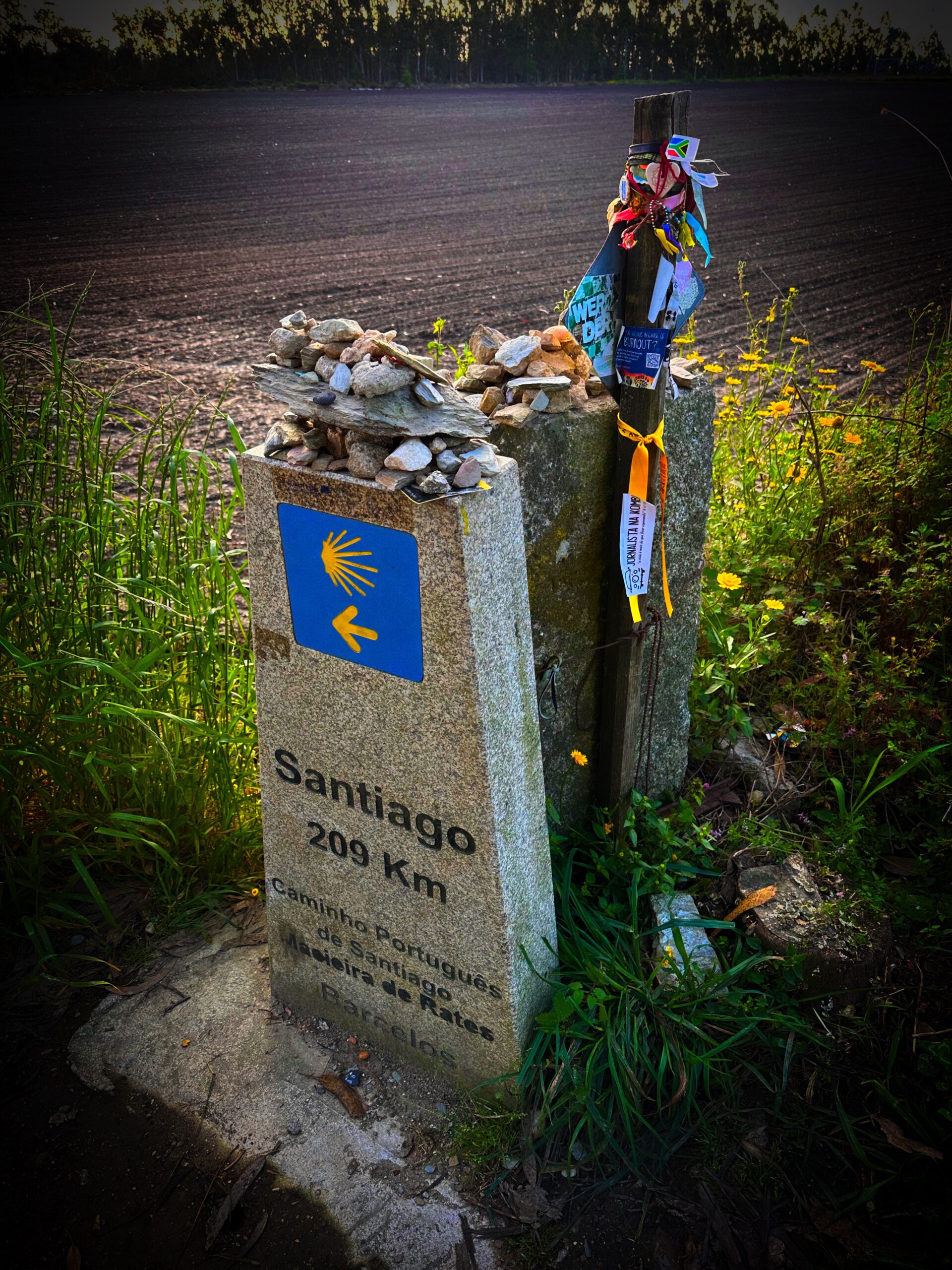 06.05.2025 Rates – Portela de Tamel