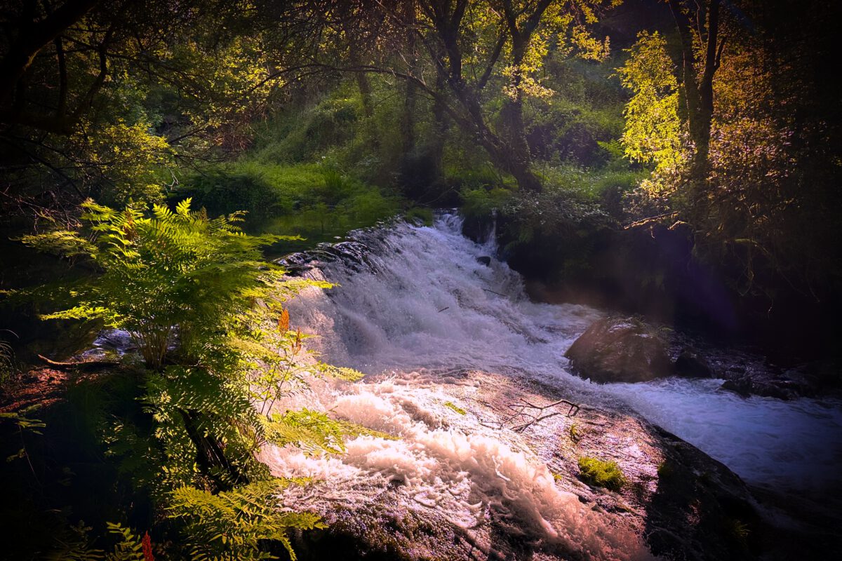 08.05.2025 Ponte de Lima – Paços