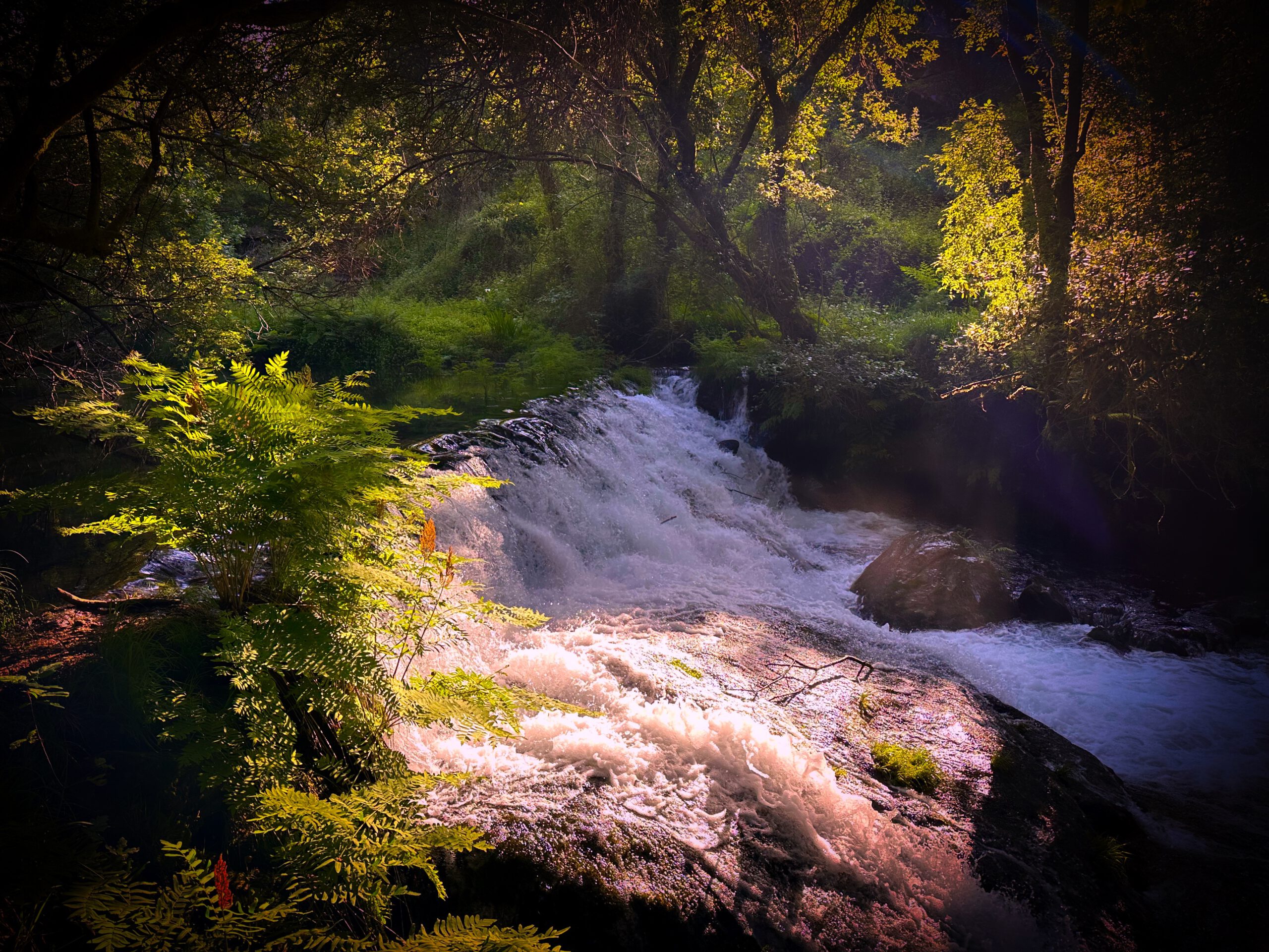 08.05.2025 Ponte de Lima – Paços