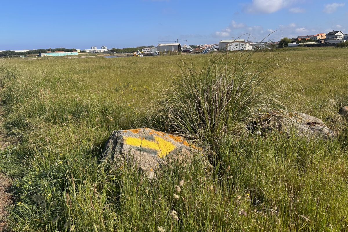 Labruge – Rates 01